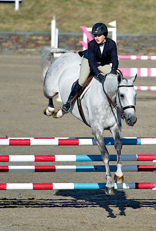 Equestrian Jumping  1070